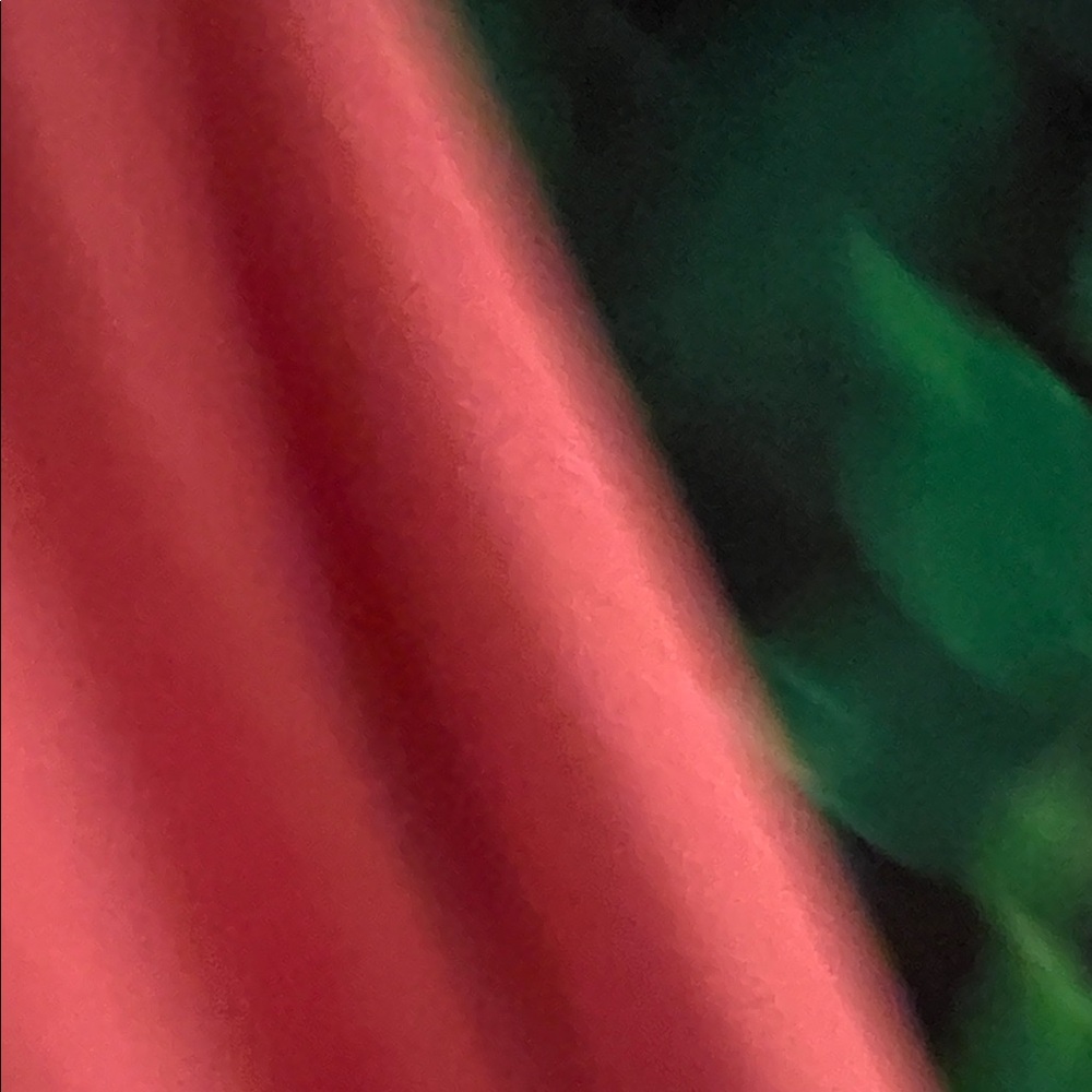 Comfort Colors Women's Long Sleeve Jersey - Coral - Picture 2 of 13